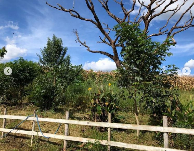 Meio Ambiente realiza  vistoria em propriedade