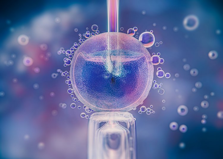 AVANÇO - Primeiro embrião humano sintético