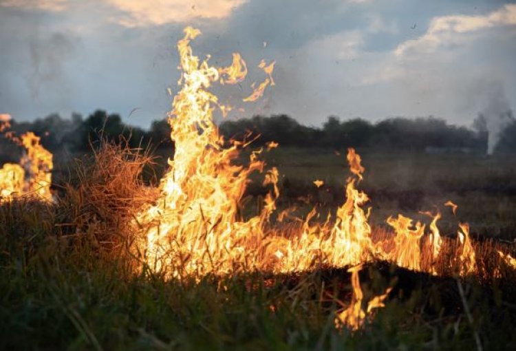 O período seco alerta para  o grande risco de queimadas