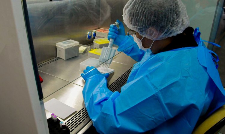 HEPATITE C - Novo remédio reduz em até 20% custo do tratamento no SUS