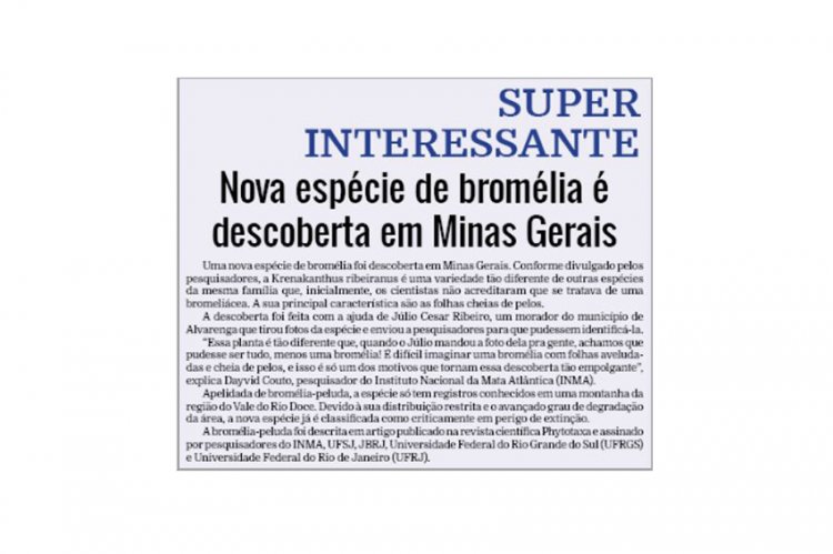 SUPER INTERESSANTE