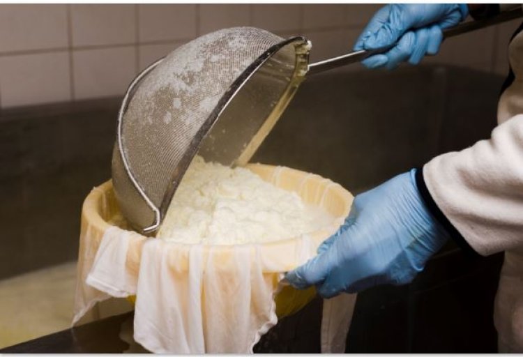 EMPREENDIMENTO - Curso de produção de  doce de leite e queijos