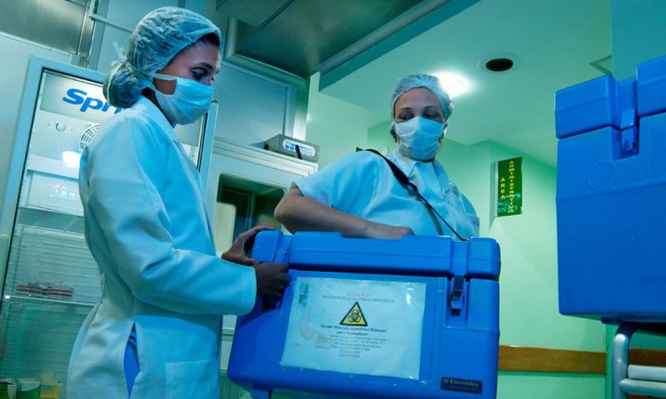 DOAÇÃO DE ÓRGÃOS - Minas Gerais realizou 761 transplantes em 2023