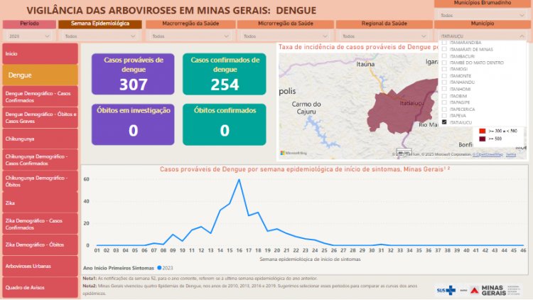Brasil registra mais de 1.000 óbitos por dengue