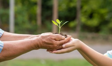 SEMANA DO MEIO AMBIENTE - Doação de mudas na Praça da Matriz