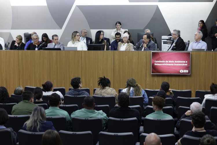 Minerodutos e ferrovias na RMBH em debate na ALMG