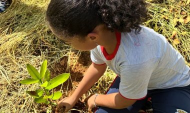 BOSQUE DO AMANHÃ - Estudantes plantam mais 200 mudas de  árvores em Medeiros