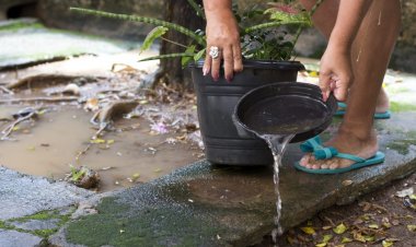 ÍNDICE DE INFESTAÇÃO - Itatiaiuçu entra em situação de risco para dengue