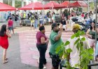 Feira de Santa Terezinha comemora um ano neste domingo