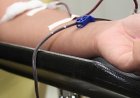 SEGURANÇA - Hemominas alerta doadores sobre uso de medicamentos