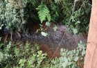 REPARAÇÃO AMBIENTAL - TAC 2 prevê mapeamento de nascentes e córregos