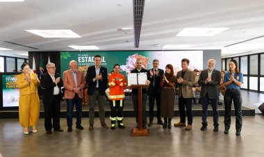 Minas lança plano para combater incêndios florestais até 2031