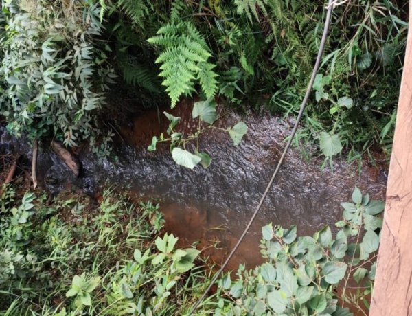 REPARAÇÃO AMBIENTAL - TAC 2 prevê mapeamento de nascentes e córregos