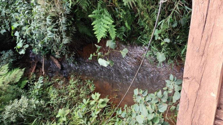 REPARAÇÃO AMBIENTAL - TAC 2 prevê mapeamento de nascentes e córregos