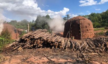 Restos mortais encontrados em forno de carvoaria