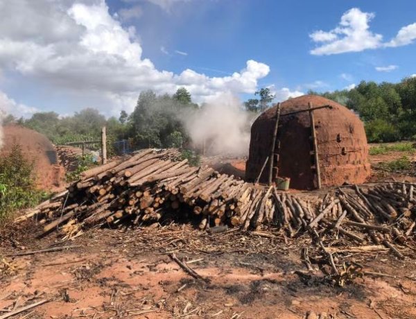 Restos mortais encontrados em forno de carvoaria