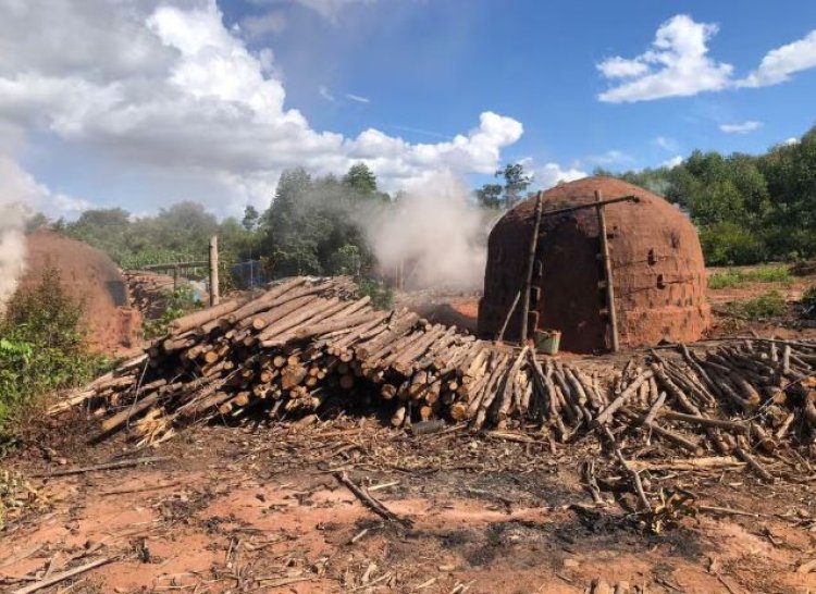 Restos mortais encontrados em forno de carvoaria