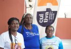 FORMAÇÃO CULTURAL - ACIRPA e USSU são selecionadas no programa Cultiva