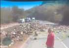 Carreta tomba e despeja  detergente na BR-381