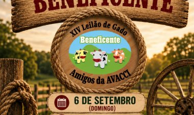 XIV Leilão Beneficente da AVACCI será realizado em setembro