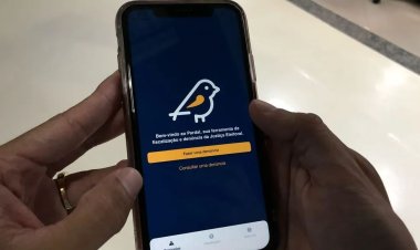 Eleitor poderá denunciar  propaganda irregular pelo celular
