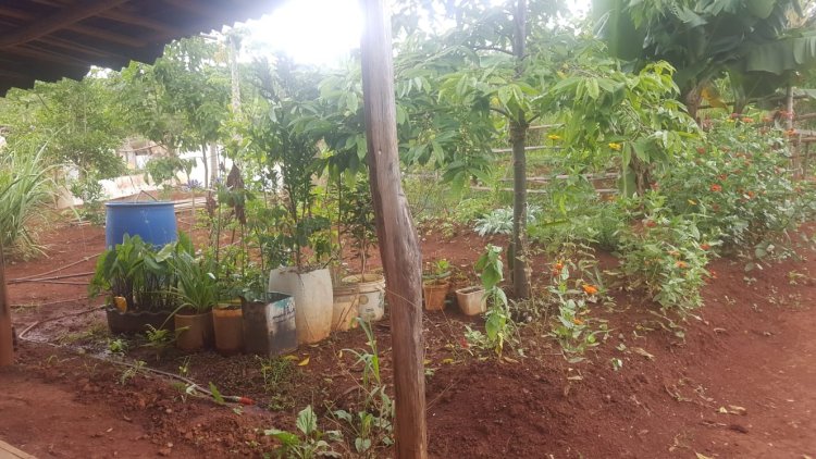 Moradores denunciam expulsões e abusos