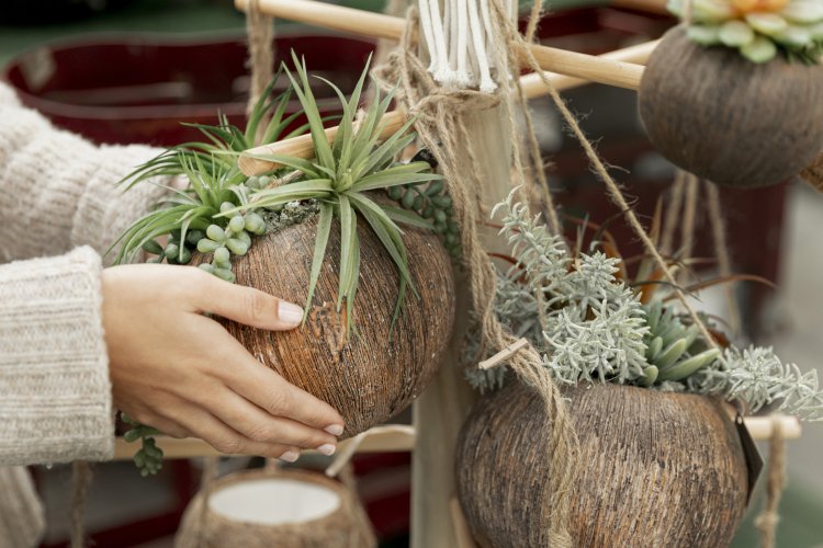 EMPREENDA VERDE - Curso gratuito de produção de kokedamas