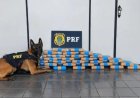 PRF apreende 36 kg de maconha
