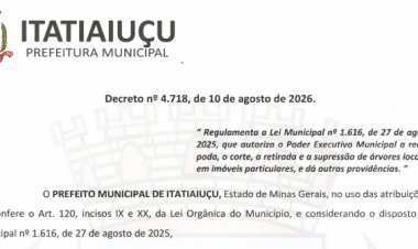 Município regulamenta poda e corte de árvores em imóveis particulares