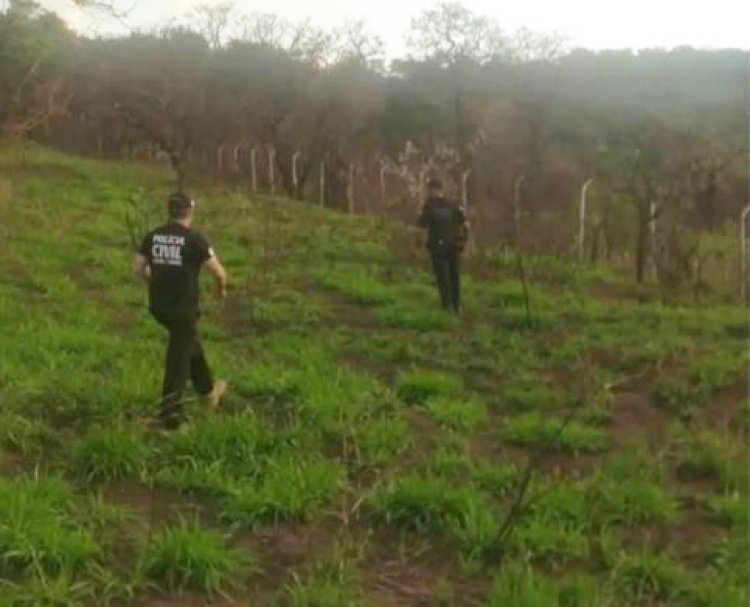 INVESTIGAÇÃO - GCM encontra ossada humana